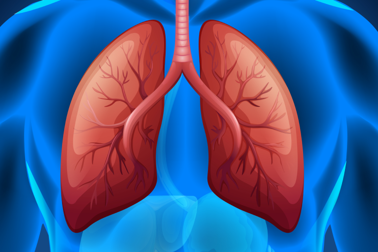 respiratory pharma products